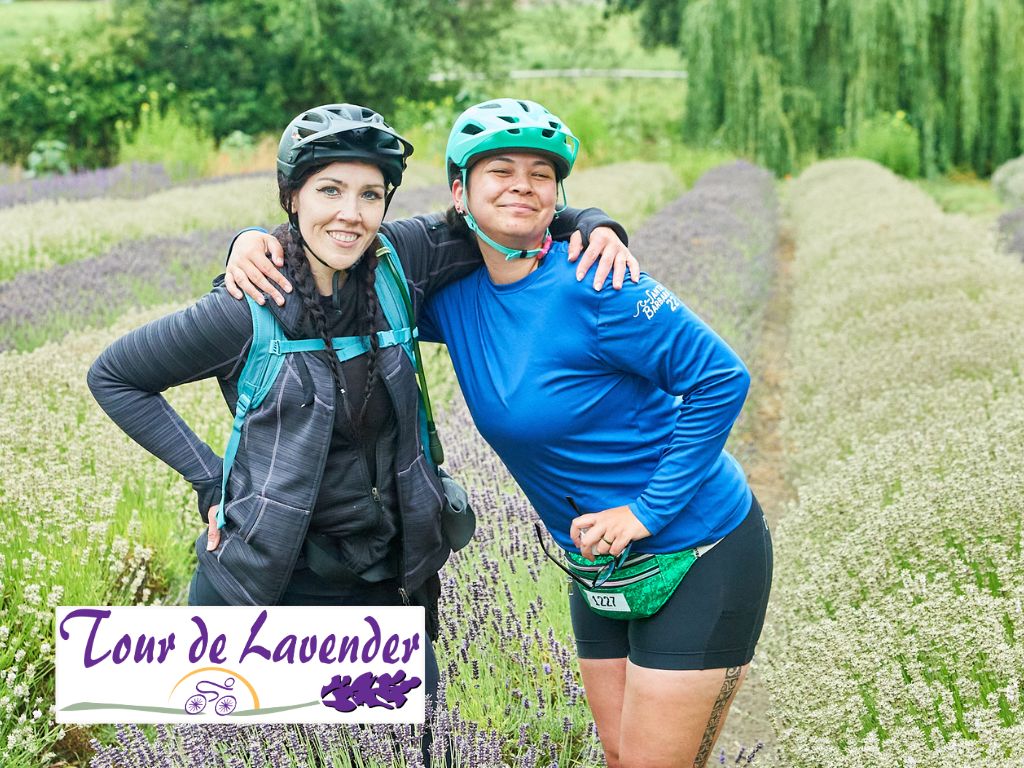 Tour de Lavender
